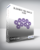 Carol Look – Business Abundance Now