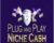 Plug and Play Niche Cash – Andrew Hansen