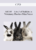 CPD – MS105 – A to Z of Rabbits in Veterinary Practice Mini Series