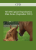 CPD – MS186 Equine Reproduction Mini Series (September 2018)