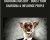Charisma Mastery-Boost Your Charisma & Influence People – Dr. Roy Naraine & Adam Naraine