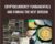 Cryptocurrency Fundamentals and Finding The Next Bitcoin – Crypto upscale