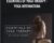 Essentials of Yoga Therapy – Yoga Internationa