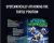 Systematically Attacking the Turtle Position – Gordon Ryan
