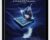 Equilibrium – Jesse Feinberg