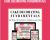 Cake Decorating Fundamentals – Kara Jane Kennedy