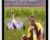 Hard Tongue Didgeridoo – Milkay Mununggurr