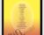 Endocrine Glands – Sound Healing Center